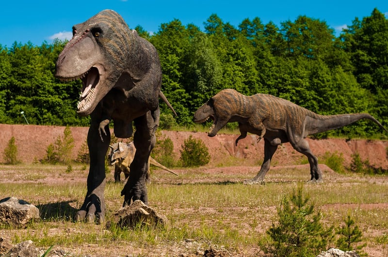 Dinosaur